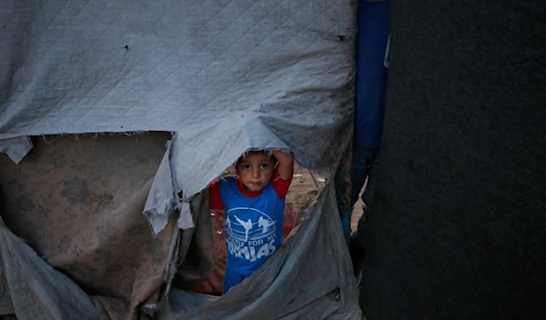 A Palestinian child living a tent in Rafah after being forcibly displaced with his family amid the ongoing Israeli genocide (UNRWA)