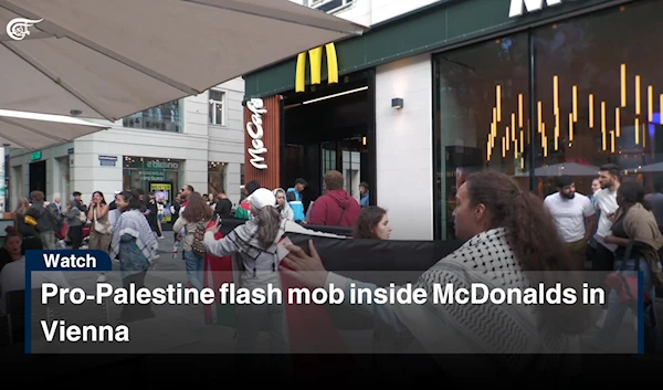 Pro-Palestine flash mob inside McDonalds in Vienna