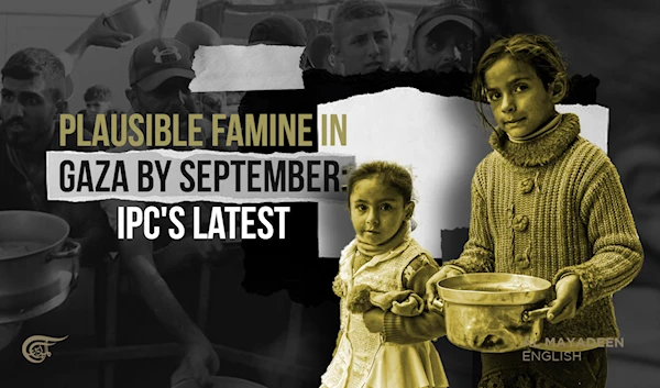 Plausible famine in Gaza by September: IPC's latest