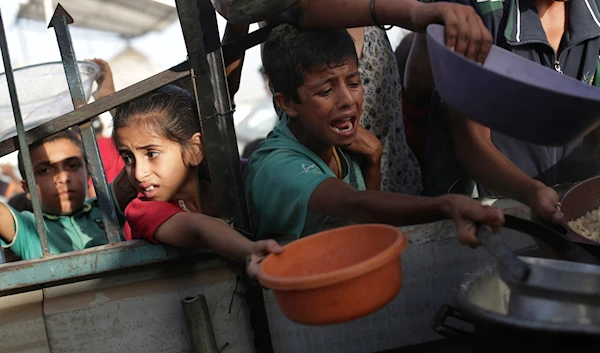 Palestinian children collect food aid in Khan Younis, Gaza Strip, June 15, 2024 (AP)