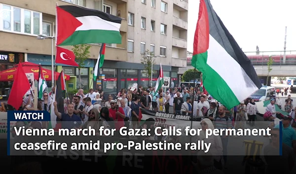 Vienna march for Gaza: Calls for permanent ceasefire amid pro-Palestine rally