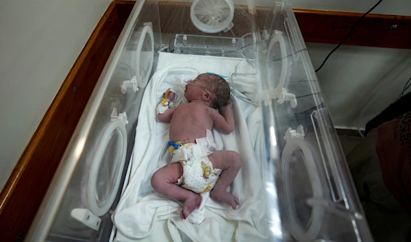 A Palestinian baby boy who was delivered prematurely after his mother Ola al-Kurd was killed in an Israeli strike, lies in an incubator at a hospital in Deir al-Balah, Friday, July 19, 2024. (AP)