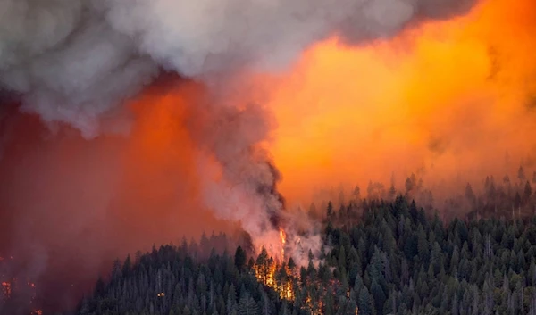 Embers spark a spot fire as the Park Fire burns below Highway 32 near Lomo in Butte County, Calif., Friday, July 26, 2024. (AP)