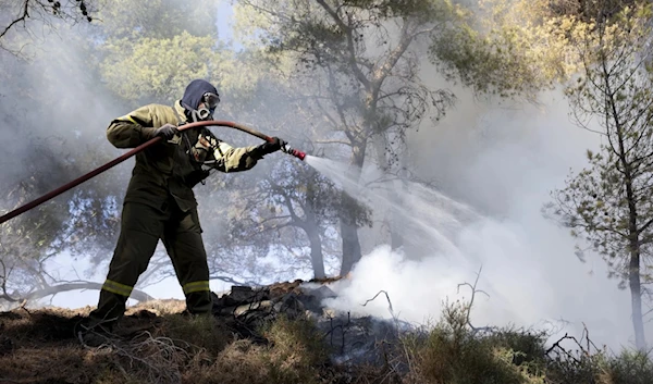 Firefighter struggles to extinguish a forest fire in the Keratea area, southeast of Athens, Greece, June 30, 2024. (AP)