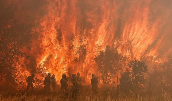 Firefighters at the site of a wildfire in Pumarejo de Tera near Zamora, northern Spain, on June 18, 2022. (AFP)