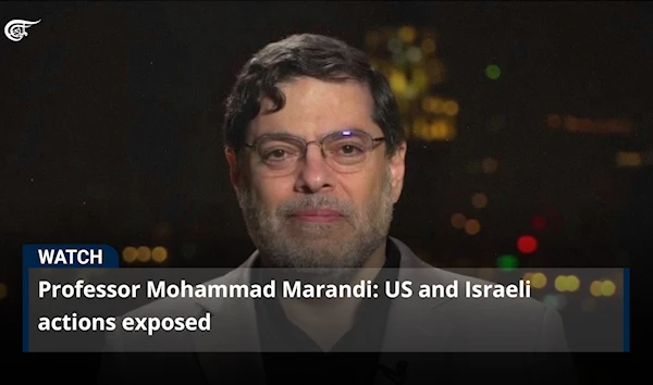 Professor Mohammad Marandi: US and Israeli actions exposed