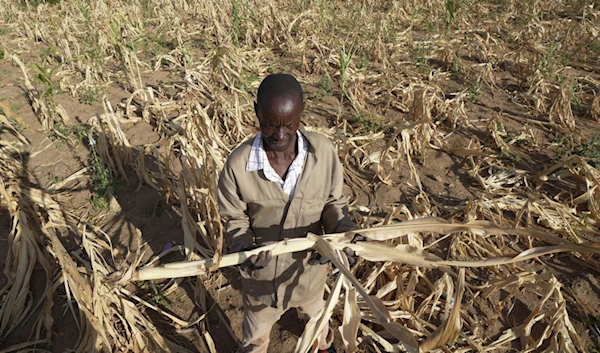 Southern African drought affecting close to 68 million: SADC