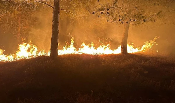 Fire breaks out in the northern front due to Hezbollah missiles from southern Lebanon on August 23, 2024. (Social Media/X)