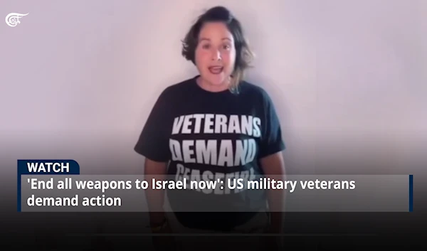 'End all weapons to Israel now':  US military veterans demand action