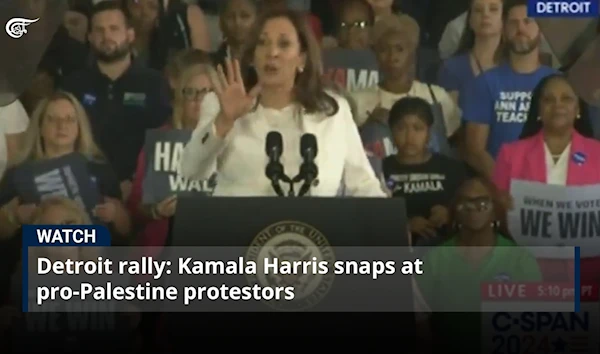 Detroit rally: Kamala Harris snaps at pro-Palestine protestors