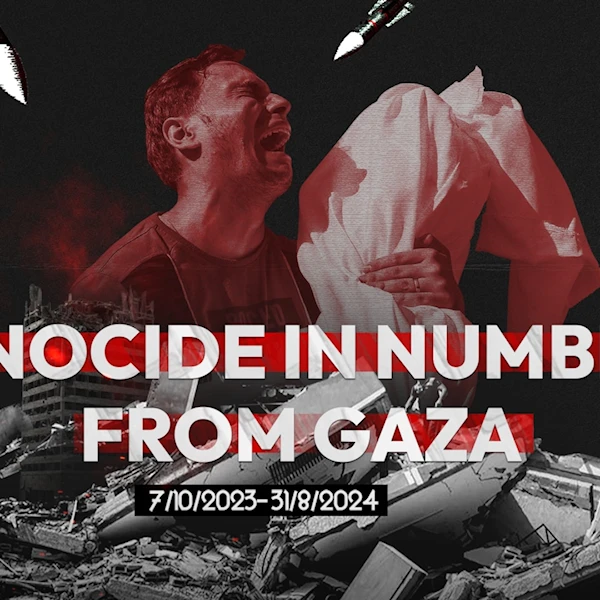 Genocide in numbers from Gaza