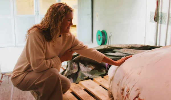 egina Haug, founder of OneWhale, with Hvaldimir's body on September 4, 2024. (OneWhale.org)