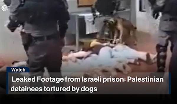 Leaked Footage from Israeli prison: Palestinian detainees tortured by dogs