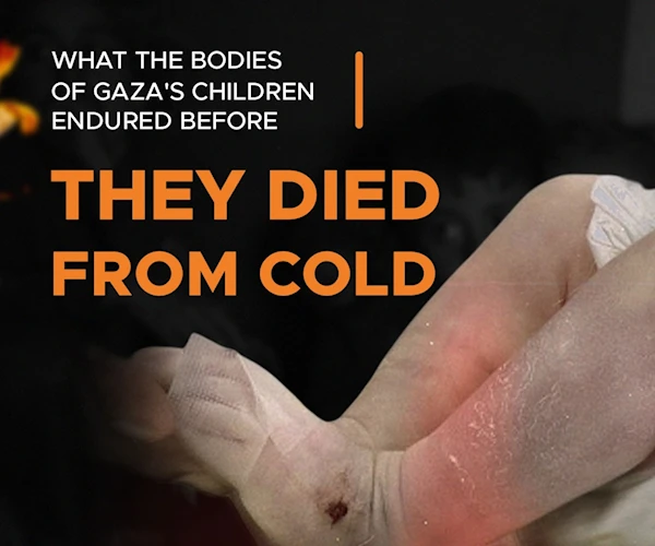 What the bodies of Gaza's children endured before they died from cold