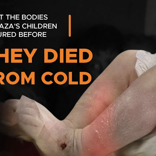 What the bodies of Gaza's children endured before they died from cold